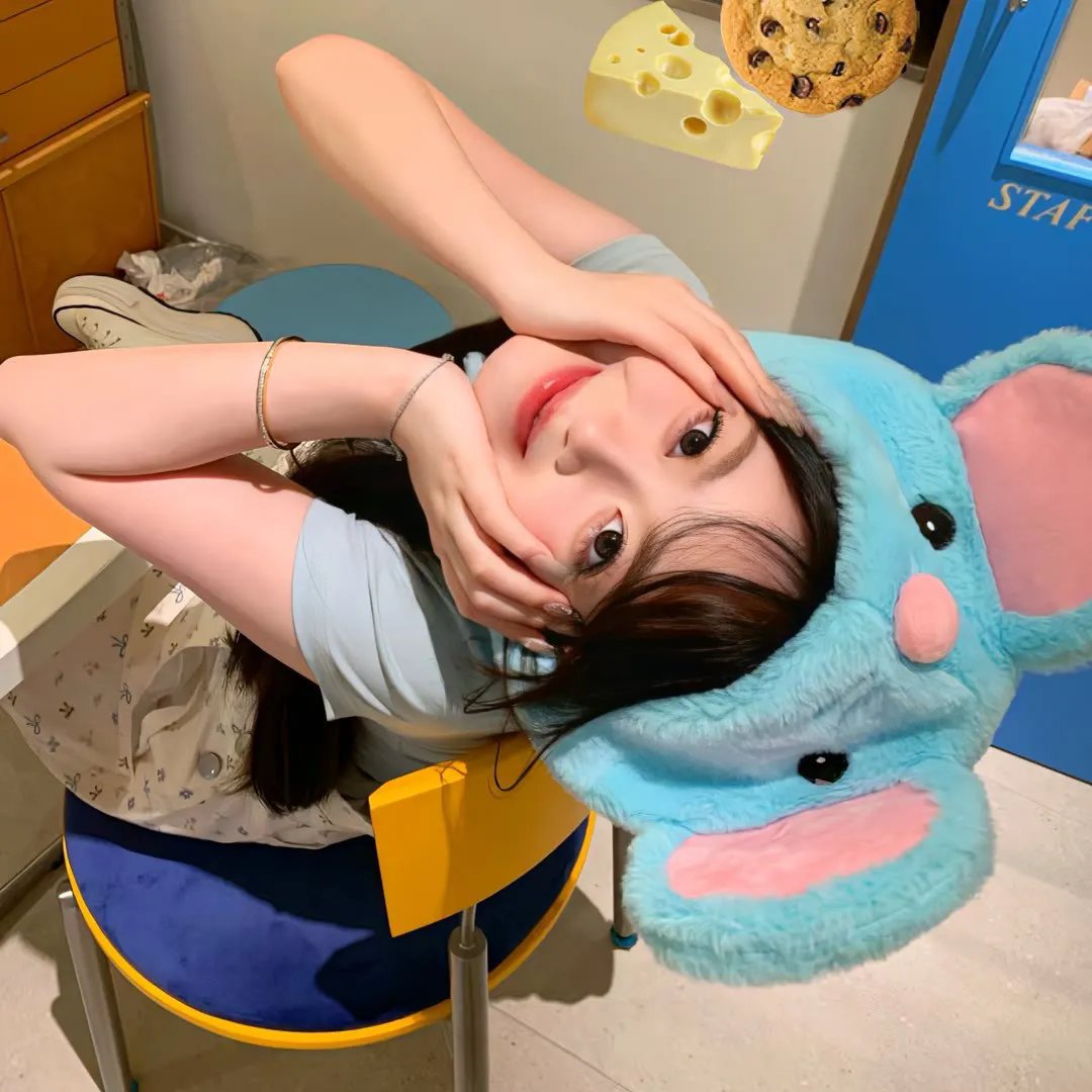 双姝泪